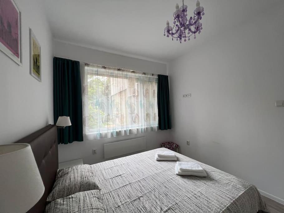 Lovely 1-bedroom With Patio Sofia
