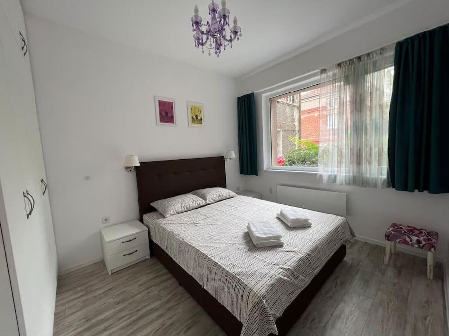 Lovely 1-bedroom With Patio Sofia